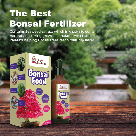 SET - Bonsai seeds + Bonsai fertilizer with probiotics