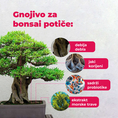 Fertilizer with probiotics for Bonsai, 100 ml