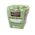 SET - Mint growing container