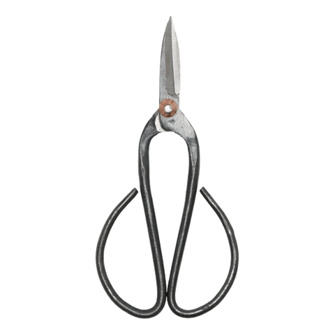 Pruning shears