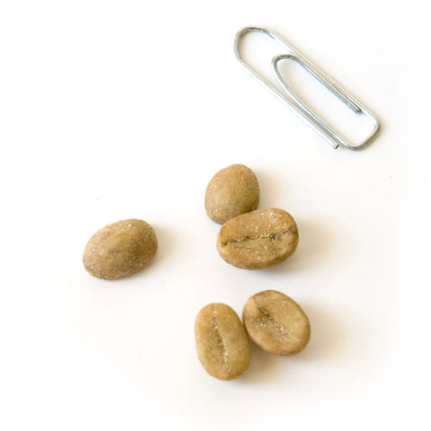 Coffee Seeds