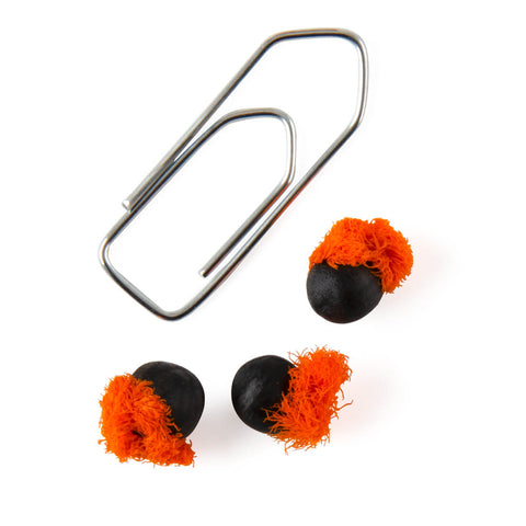 Strelitzia seeds