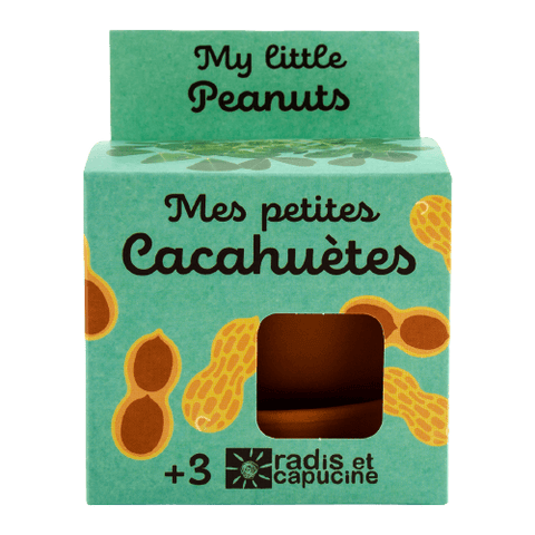 SET - Peanut growing container 