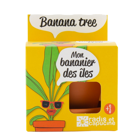 SET - Banana growing container, for children 