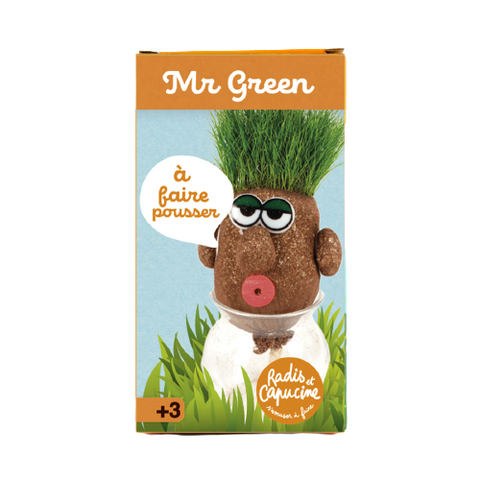 SET - Fantasy grass head Mr. Green, for children and beginners