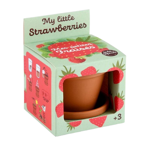 SET - Posuda za uzgoj jagoda