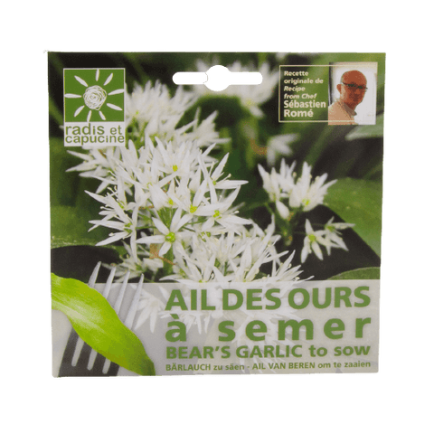 Wild garlic seeds 