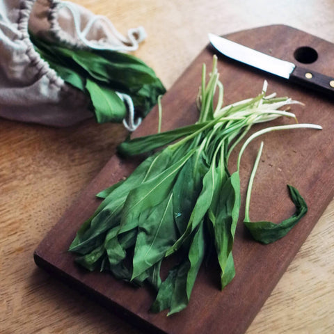 Wild garlic seeds 