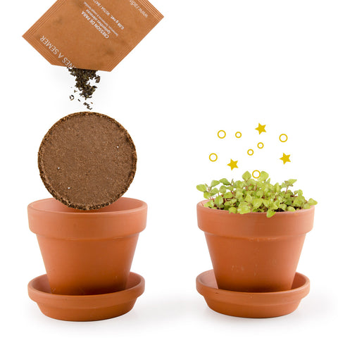 SET - Bubbling plant growing container, for children 