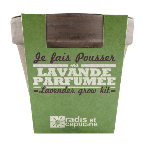 SET - Lavender growing container 