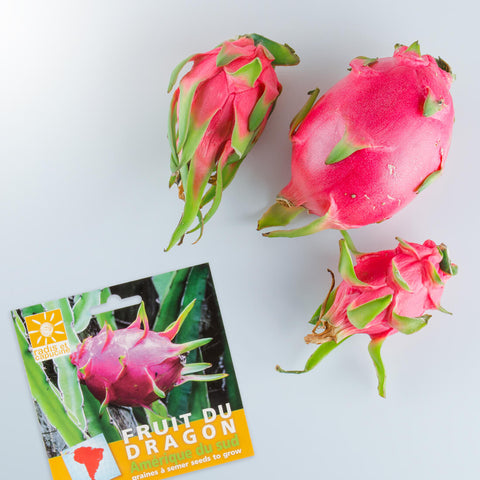 Pitaya seeds