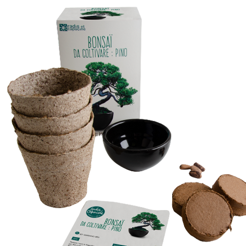 SET - Bonsai Pinus &amp; Bonsai fertilizer with probiotics 