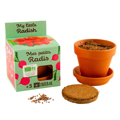 SET - Posuda za uzgoj rotkvica
