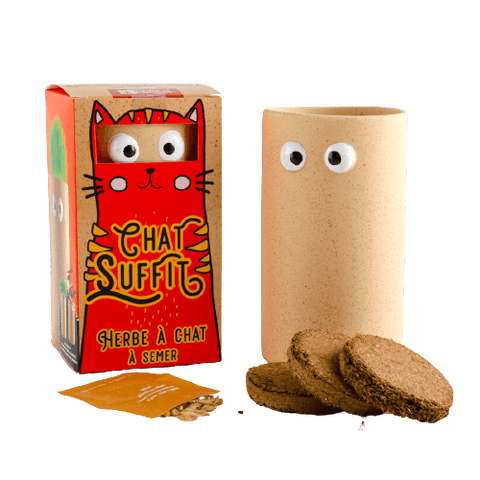 SET - Cat seeds + terracotta pot 