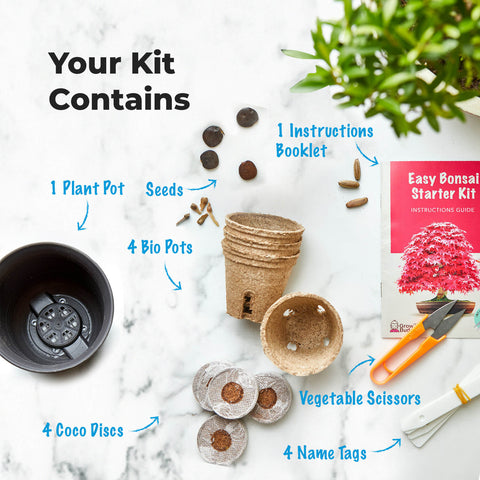 SET - Bonsai seeds + Bonsai fertilizer with probiotics
