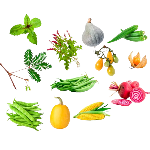 SET - Unusual vegetable seeds 12x assortment