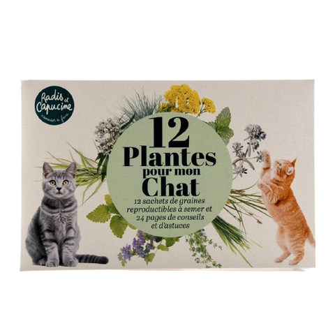 SET - Catnip seeds 12x assortment 