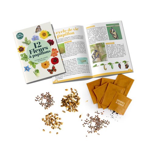 SET - Garden flower seeds 12x assortment 