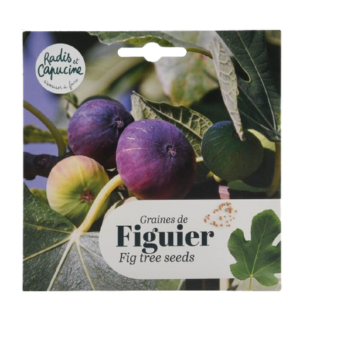 Fig Seeds