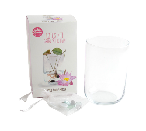 SET - Lotus flower, seeds 2x 