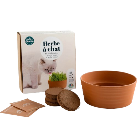 SET - Growing catnip