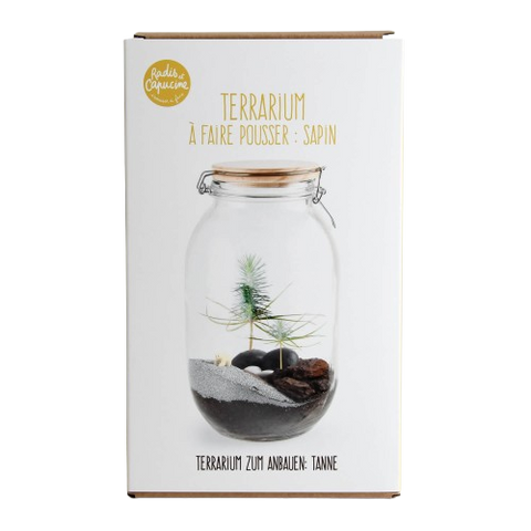 SET - Terarij za uzgoj borovca