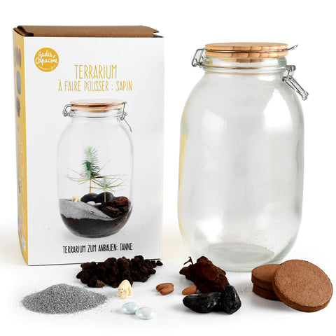 SET - Terarij za uzgoj borovca