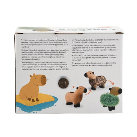 Kapibara za uzgoj, chia sjemenke, set za djecu