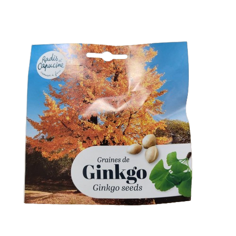 Ginkgo Biloba Seeds 