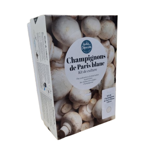 SET - Mushroom cultivation, white mushrooms Paris
