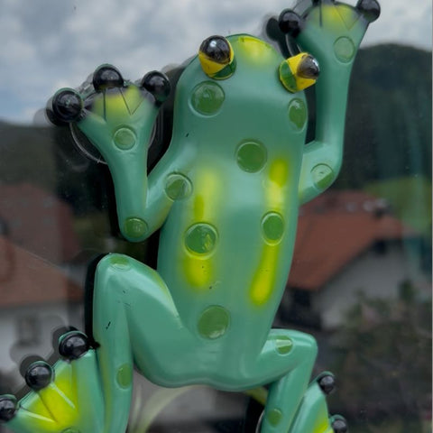 Vanjski termometar žaba