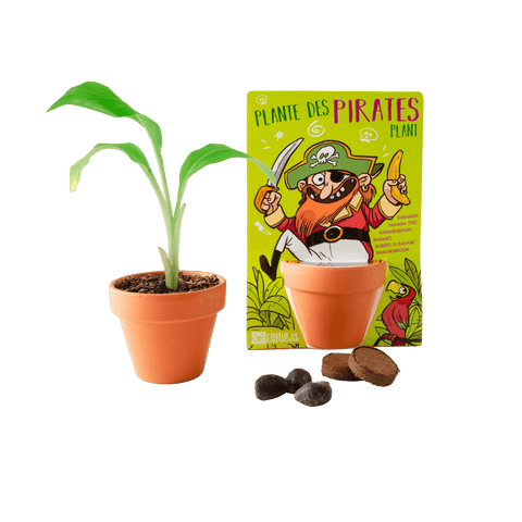 SET - Banana growing container, for children 