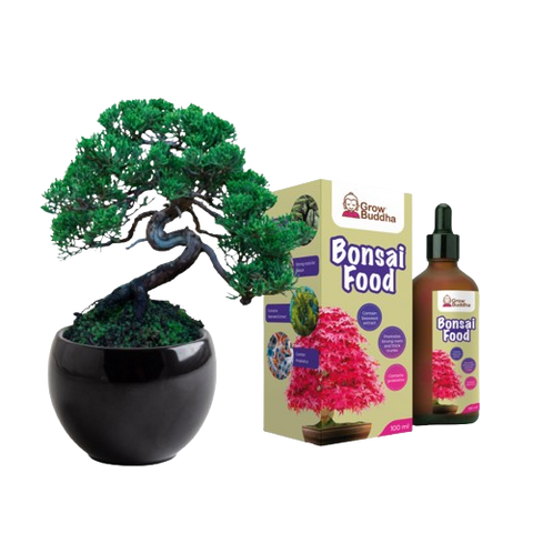 SET - Bonsai Pinus &amp; Bonsai fertilizer with probiotics 
