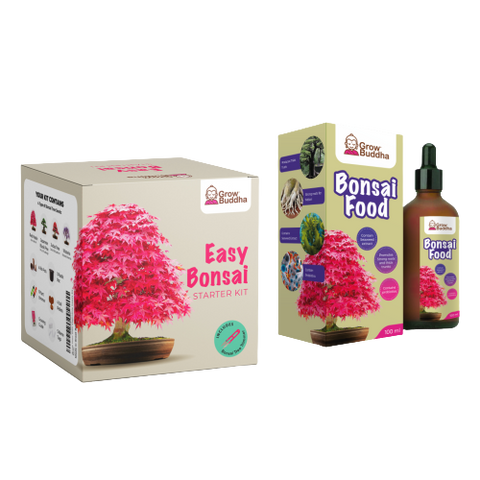 SET - Bonsai seeds + Bonsai fertilizer with probiotics