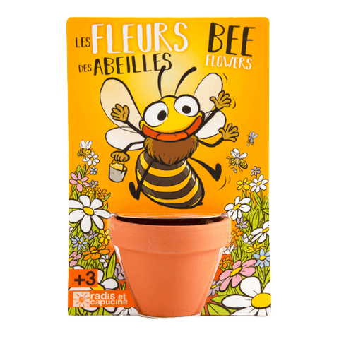 SET - Growing container with bee flower seeds 