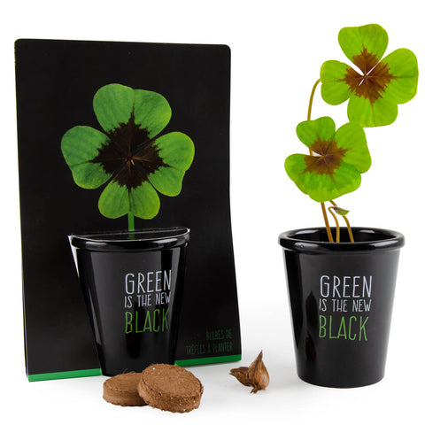 SET - Black pot with 4-leaf clover seeds