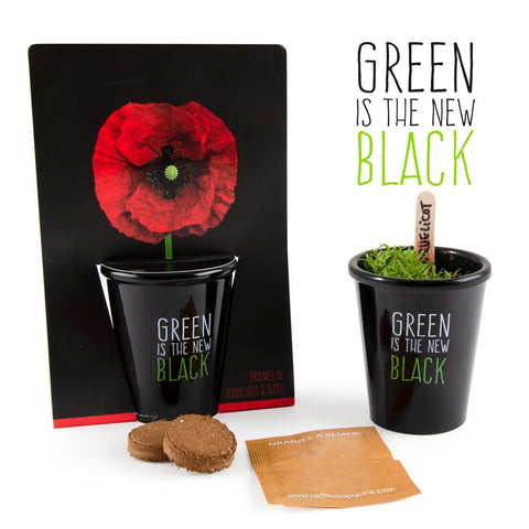 SET - Black pot with poppy seeds 