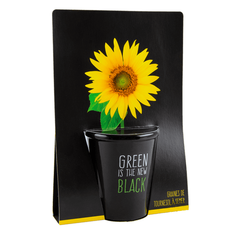 SET - Black pot with organic sunflower seeds 