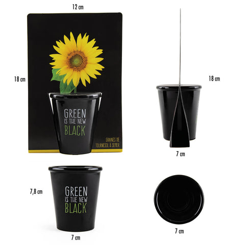 SET - Black pot with organic sunflower seeds 