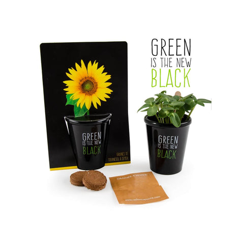 SET - Black pot with organic sunflower seeds 