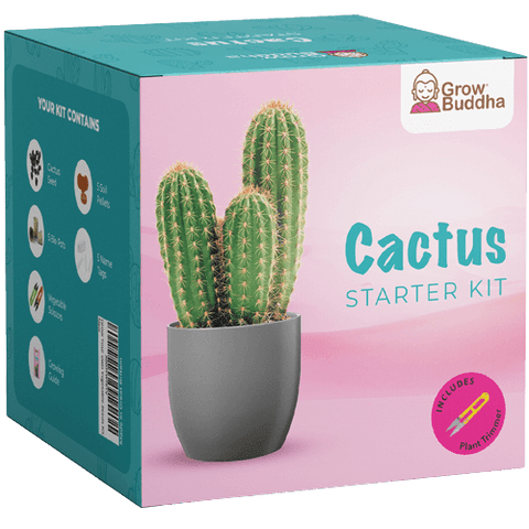 SET - Cactus, growing 15 different types of cacti 
