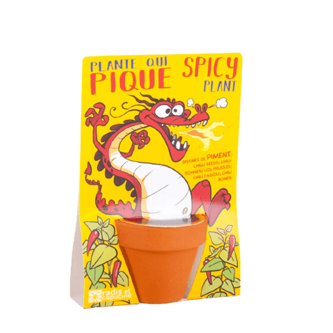 SET - Cayenne pepper seed growing container for children 