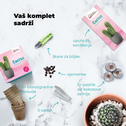 SET - Cactus, growing 15 different types of cacti 