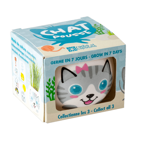 SET - Pot with grass seeds, white cat 