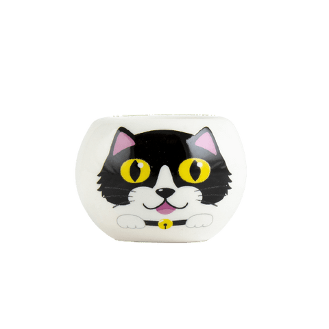 SET - Pot with grass seeds, black cat 