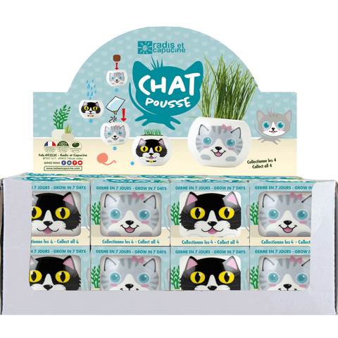 SET - Pot with grass seeds, white cat 