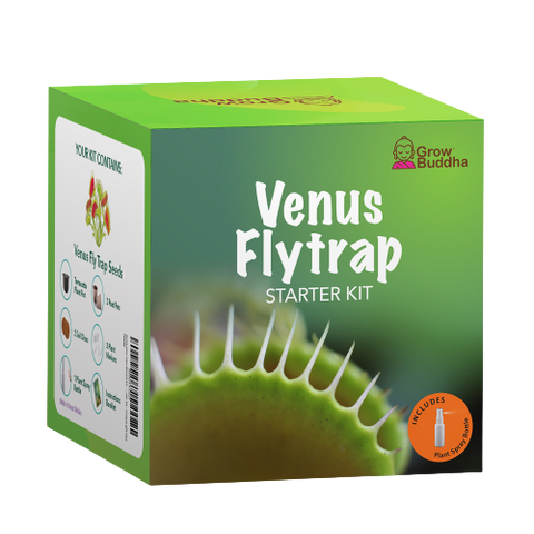 SET - Venus Flytrap, for beginners