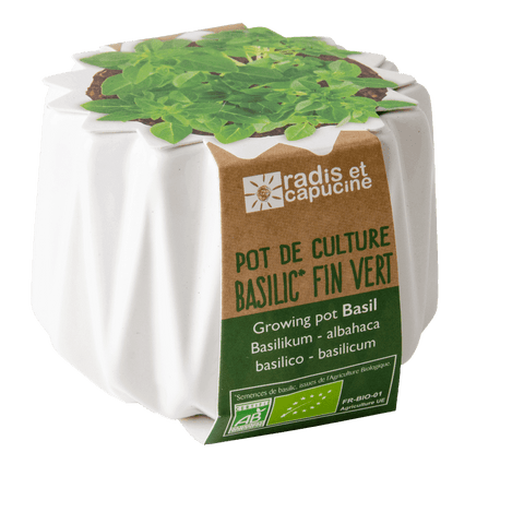 SET - Origami pot for planting organic basil 