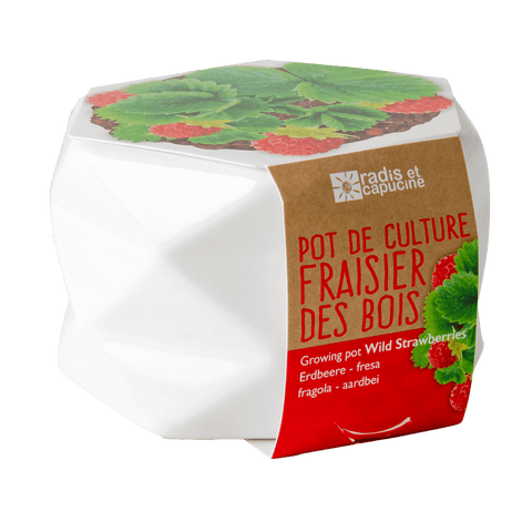 SET - Origami strawberry planting pot 