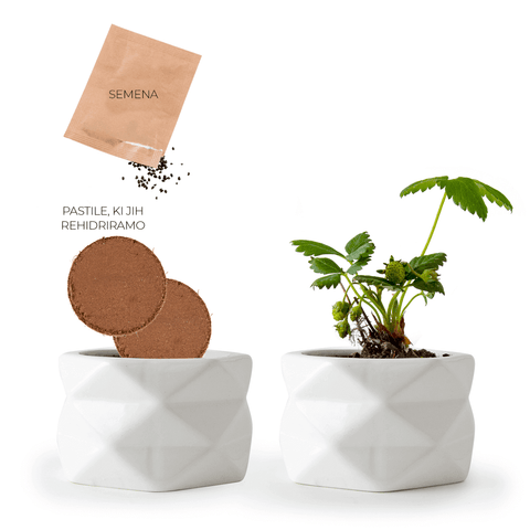 SET - Origami strawberry planting pot 